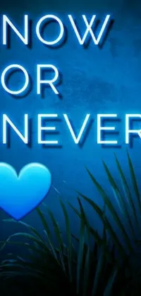 This live wallpaper for your phone features a bright neon sign with the message &quot;now or never