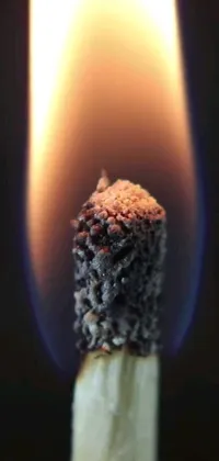 This striking phone live wallpaper captures a close-up shot of a matchstick with a flame, showcasing intricate details in high definition
