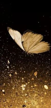 Experience the enchanting beauty of a live wallpaper featuring a fluttering butterfly surrounded by sand and glitter