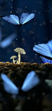 Marvel at the natural beauty and wonder of this phone live wallpaper featuring blue butterflies and a vibrant mushroom