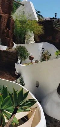 This live wallpaper features a mesmerizing white building on a verdant green hillside, with stunning cacti and an indoor cave garden adding to its charm