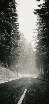 If you're a nature lover, you'll adore this black and white wallpaper capturing a snow-covered woodland road