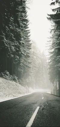 This live wallpaper features a serene winter scene captured in black and white, showcasing a snowy road in the woods flanked by spruce trees