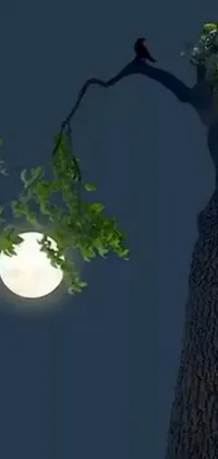 This stunning live wallpaper for your phone features an animated bird perched on a tree branch, set against the serene backdrop of a glowing full moon