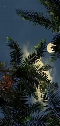 This mesmerizing live wallpaper showcases a captivating sight of a full moon shining through the trees