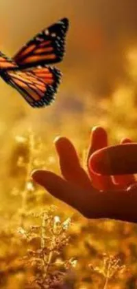 This phone live wallpaper features a sensational artwork of a hand reaching out to a butterfly