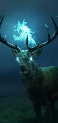 Get mesmerized by the stunning live wallpaper featuring a majestic deer standing in the grass surrounded by mystical blue flames and wearing a majestic golden crown
