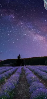 Midnight lavender time  Live Wallpaper