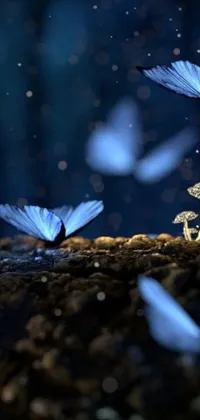 Get captivated with this mesmerizing 3D live wallpaper! One can't help but fall in love with the group of blue butterflies hovering around a beautiful mushroom, set against a stunningly peaceful moonlit forest background