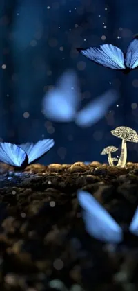 Enjoy the mesmerizing movement of blue butterflies flying around a mushroom in this stunning phone live wallpaper