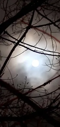 Adorn your phone with a captivating live wallpaper featuring a stunning full moon