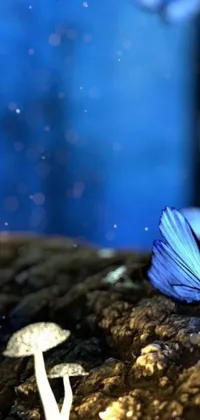 This live wallpaper is a beautiful digital art piece featuring a blue butterfly perched on a tree stump
