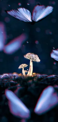 This mobile live wallpaper boasts digital art of colorful butterflies flitting around a mushroom, set against an anamorphic bokeh background