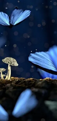 This phone live wallpaper showcases a delightful group of blue butterflies circulating around a mushroom