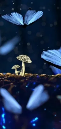 This phone live wallpaper features a group of blue butterflies fluttering around a mushroom, adding a touch of natural beauty to your phone screen