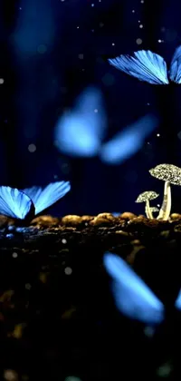 This lively phone wallpaper showcases a group of blue butterflies fluttering about a mushroom