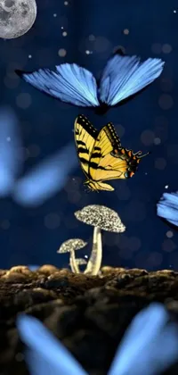 This phone live wallpaper features a picturesque scene with a group of butterflies flying around a colorful mushroom