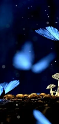 Enhance the look and feel of your phone with this amazing blue butterflies live wallpaper