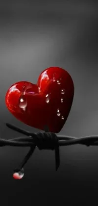 This live phone wallpaper showcases a vibrant red heart perched atop a barbed wire