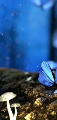 This phone live wallpaper features a stunning macro photograph of a blue butterfly perched on a dirt pile