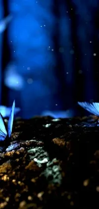 This stunning live wallpaper is perfect for nature lovers! Featuring a group of blue butterflies on a rock created with digital art, this scene is brought to life by glowing fireflies in the background