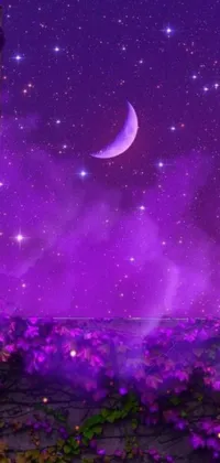 This live wallpaper features a window overlooking a view of the moon and stars surrounded by fantasy magical vegetation