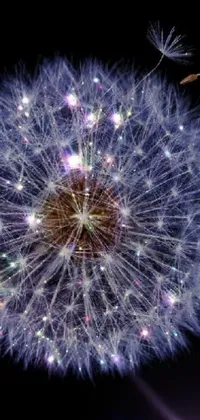 This stunning phone live wallpaper showcases a close-up view of a dandelion against a black background with a starry sky, colorful sparkles, and the concept of multiverse