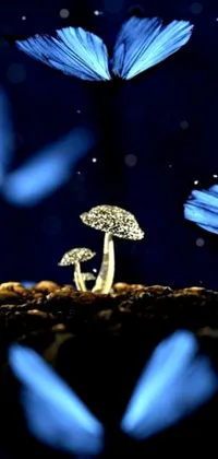 This live wallpaper showcases a group of blue butterflies flying around a mushroom
