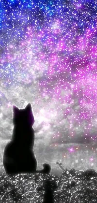 This cosmic live wallpaper features a serene cat sitting on a ledge, gazing out at the stars and space