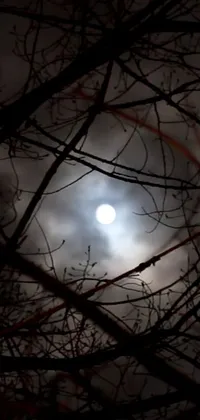 This live wallpaper depicts a stunning scene of a full moon shining through tree branches