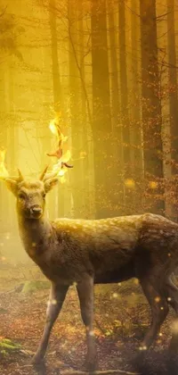 This phone live wallpaper features a majestic deer standing in a stunning forest