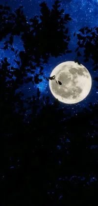 Enjoy a mesmerizing live wallpaper on your phone with a serene bird flying in front of a full moon