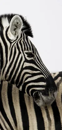 Get this stunning phone live wallpaper featuring two zebras hugging each other in op art style