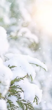 This phone live wallpaper transports you to a winter wonderland with a stunning image of a bird perched on a snow-covered tree