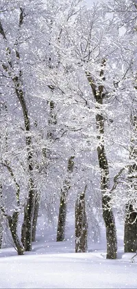 Plant Snow Nature Live Wallpaper