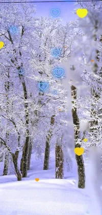 Plant Snow Nature Live Wallpaper