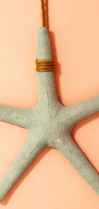 Decorate your phone screen with this mesmerizing live wallpaper featuring a genuine close-up photograph of a starfish situated on a soft pink surface