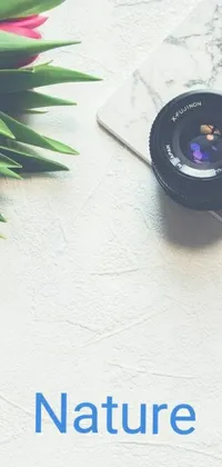 Plant Table Camera Lens Live Wallpaper