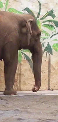This Live Wallpaper features a realistic 3D depiction of a majestic elephant standing in front of a wall in a zoo exhibit