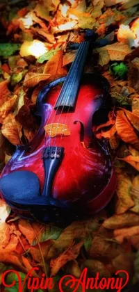 This captivating phone live wallpaper features a stunning violin resting on a mix of autumn-colored leaves, adding a touch of elegance to your phone's screen