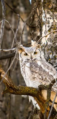 A camouflaged owl sits atop a tree branch in this stunning phone live wallpaper