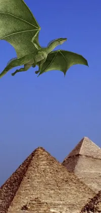 This live phone wallpaper features a majestic green dragon soaring over a grand pyramid against a stunning backdrop of bustling Cairo