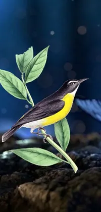 This live wallpaper features a vibrant yellow and black bird sitting on a tree branch