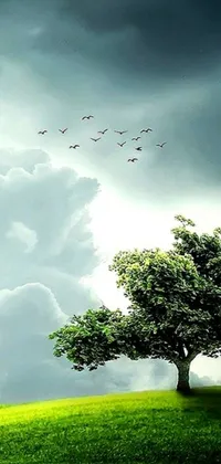This live phone wallpaper features a serene landscape of two trees on a green field under a cloudy sky, accompanied by birds in flight