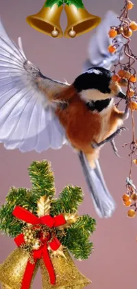 This phone live wallpaper showcases a charming bird grace on top of a Christmas tree