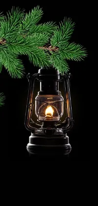 This beautiful live wallpaper for your phone showcases a stunning lantern on a black fir tree branch