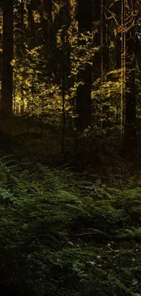 This live wallpaper transports you to a lush, dense forest captured in 4K vertical glory