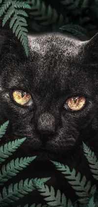 This live wallpaper for phones showcases a beautiful digital painting of a black cat with yellow eyes surrounded by foliage