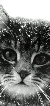 This stunning live wallpaper features a black and white photo of a cat in the snow, with a stipple effect that gives it a vintage feel