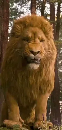 This Live Wallpaper showcases an exquisite lion standing graciously in the center of a lush forest